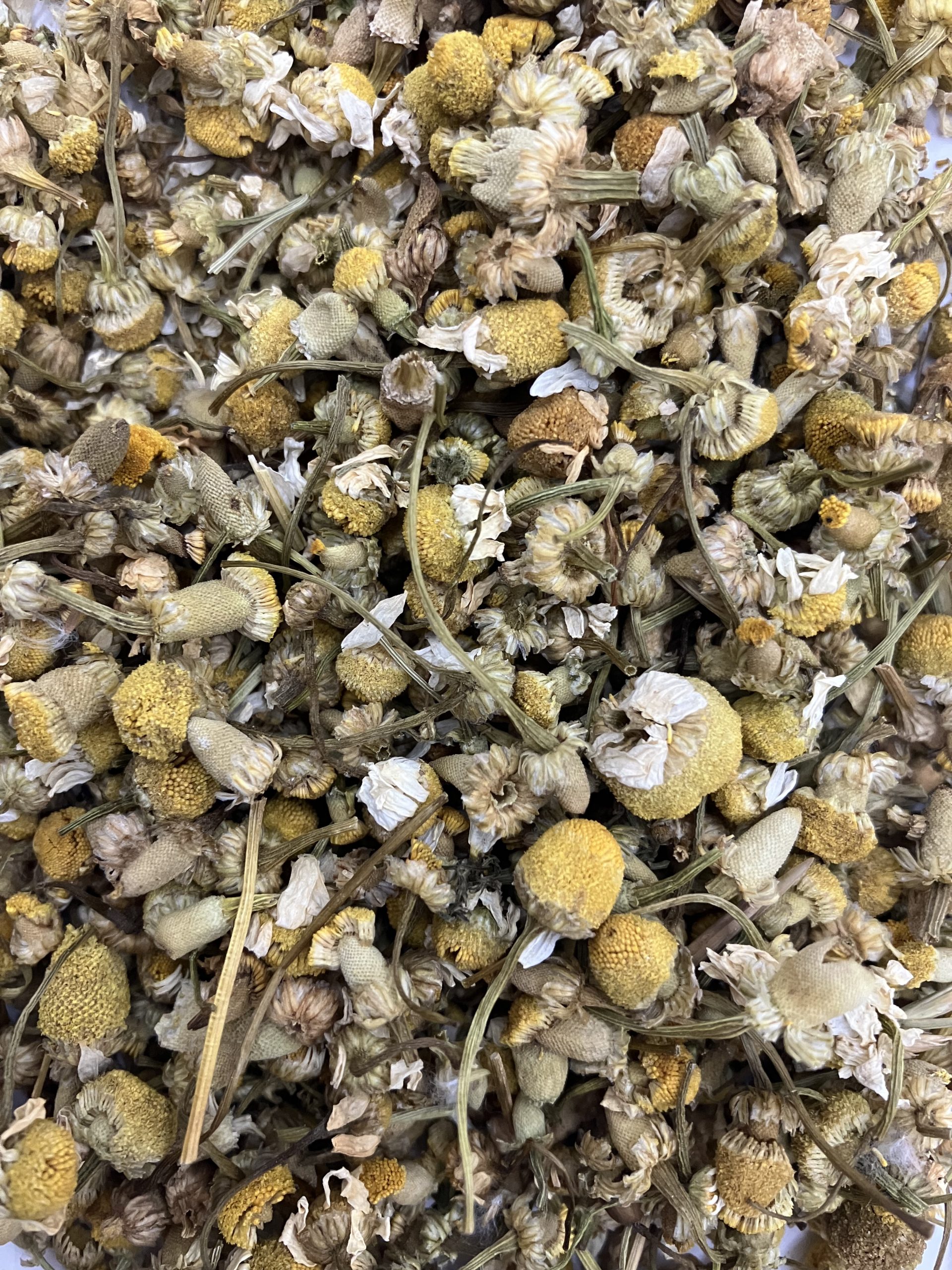 Chamomile