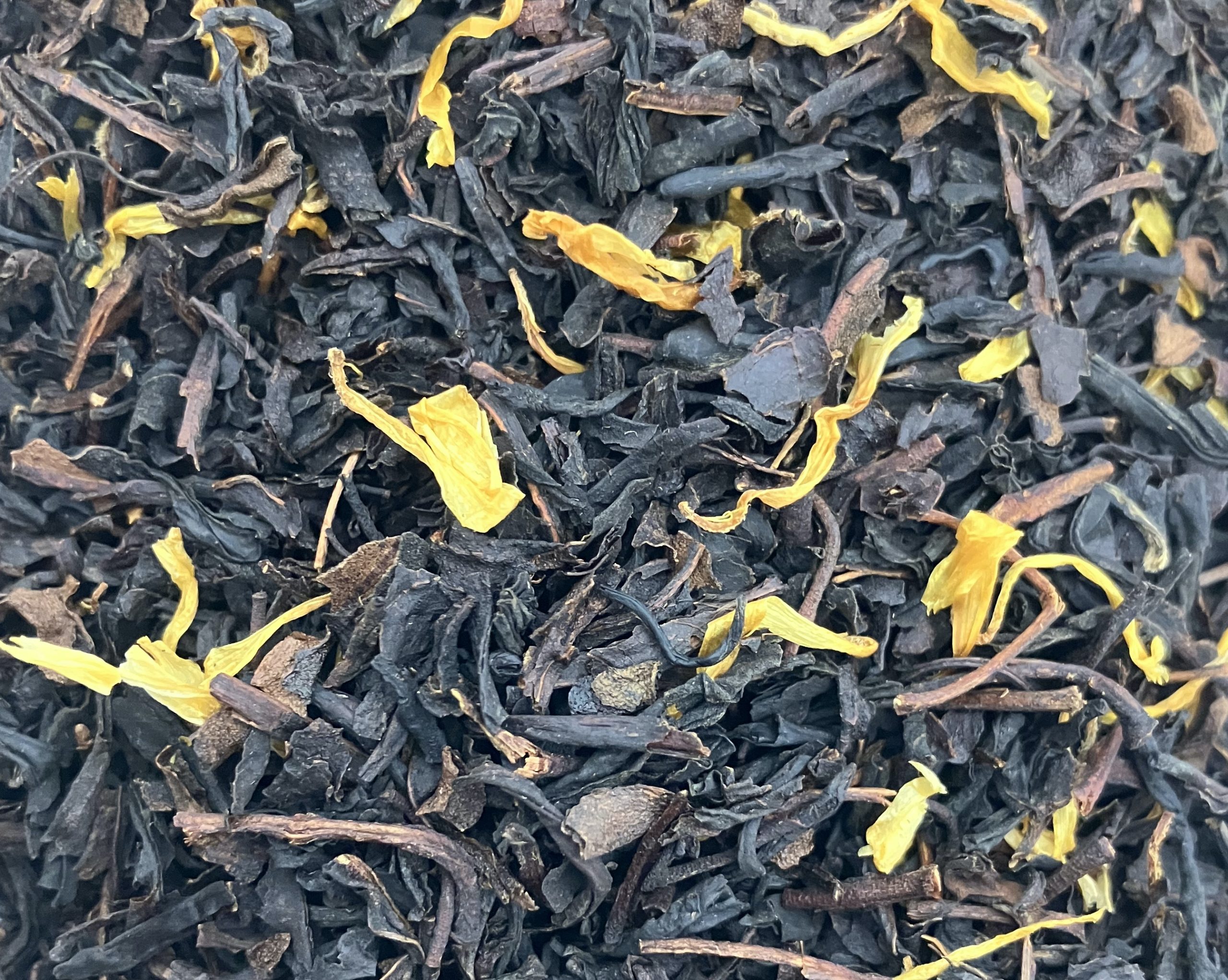 Lucas Earl Grey Cream