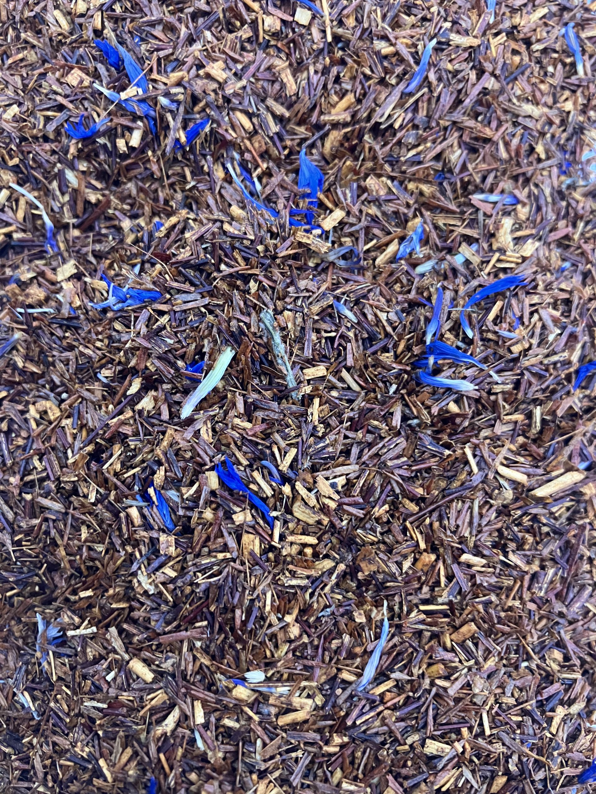 Rooibos Earl Grey