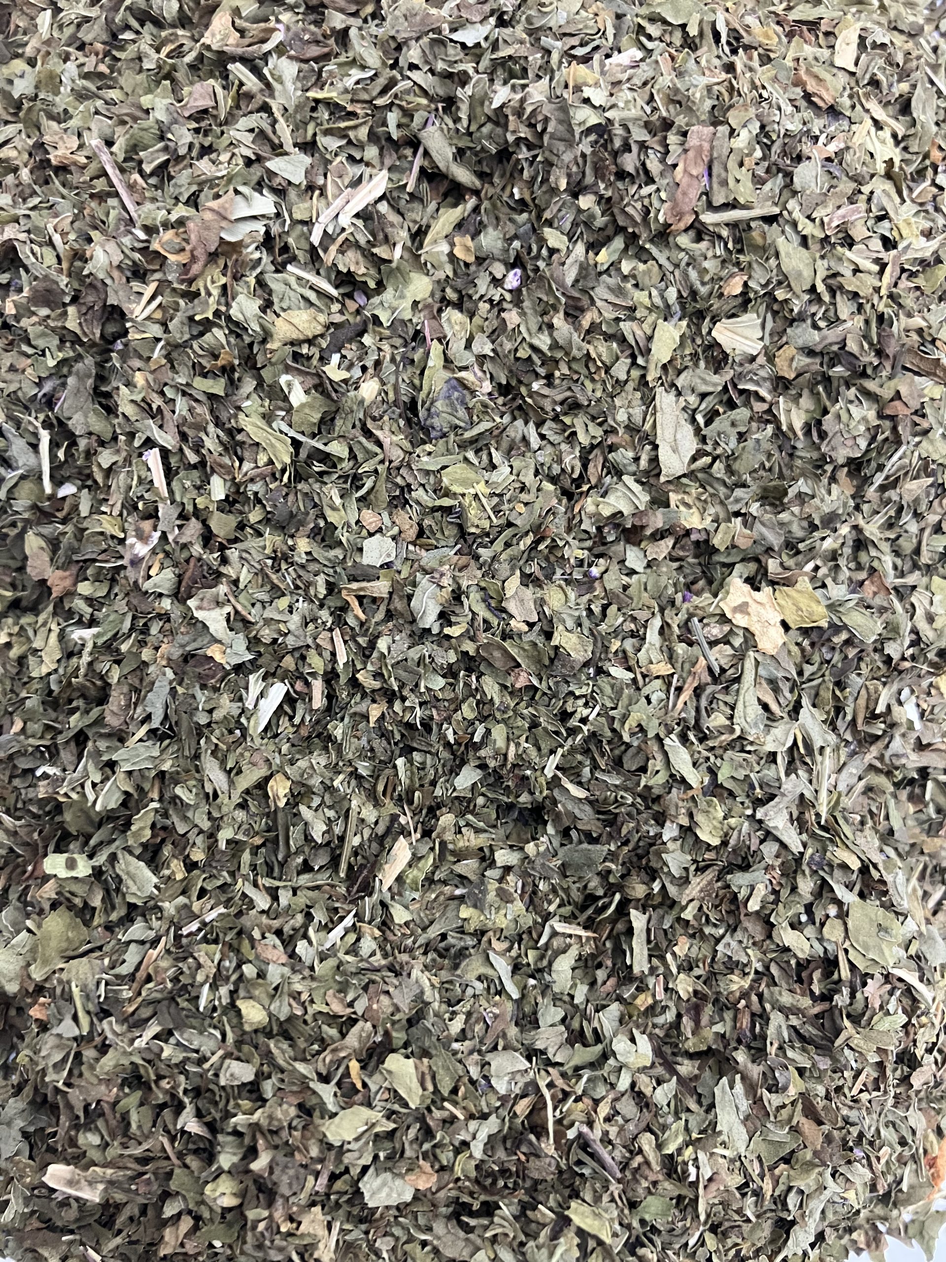 Spearmint
