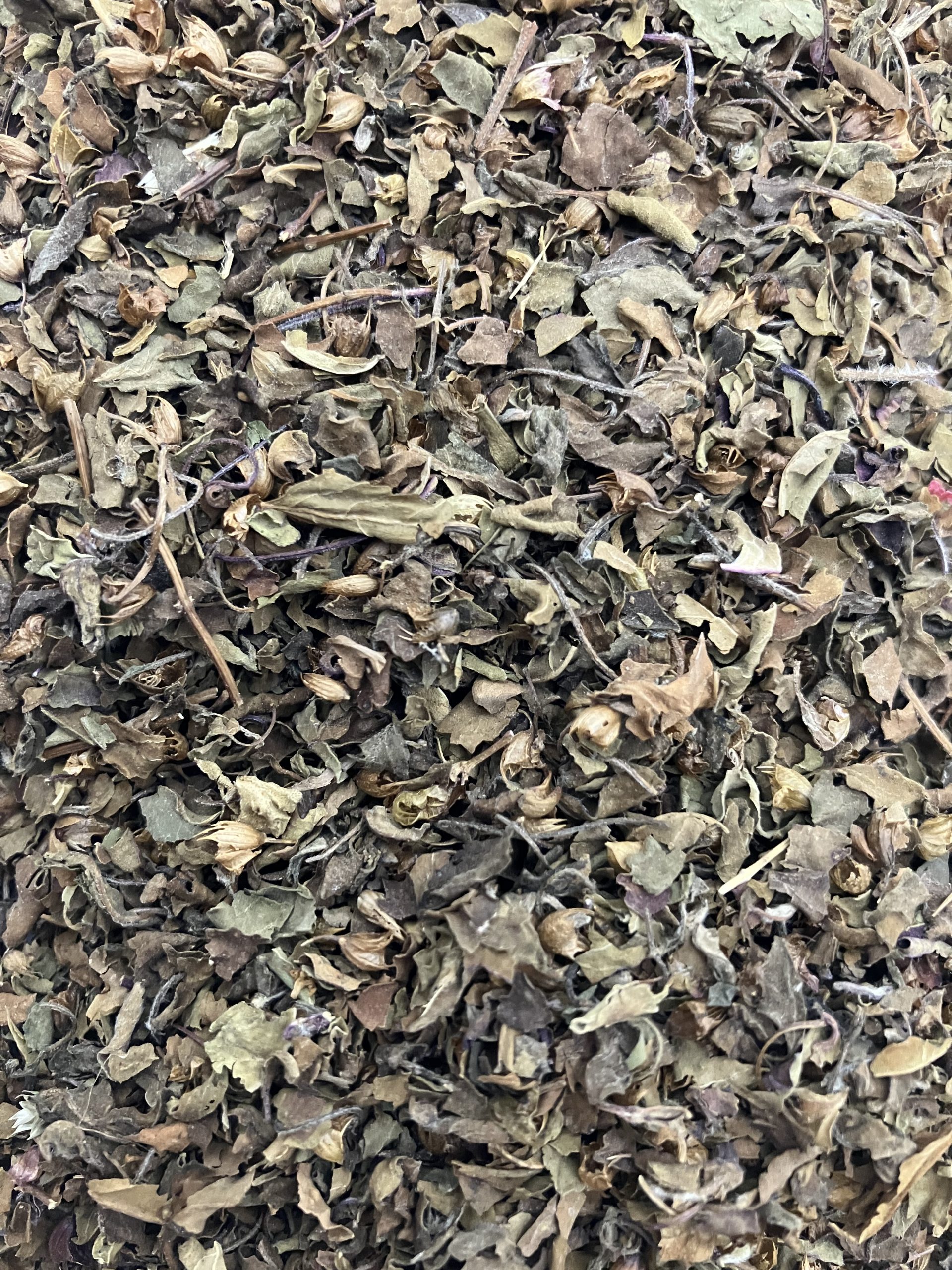 Tulsi